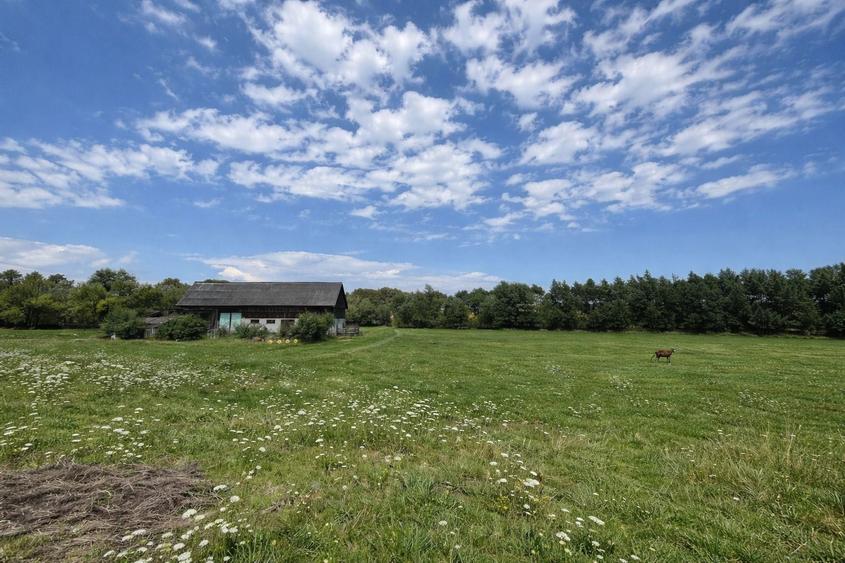 Teren agricol extravilan de 3600 mp, în Horodnic de Sus