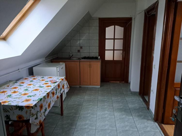 Apartament cu 2 camere decomandat în Turnișor