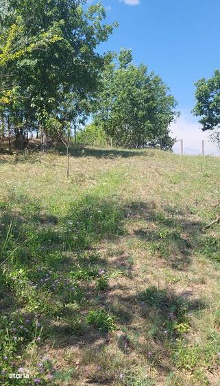 Teren de 3231 mp, în Milcoiu