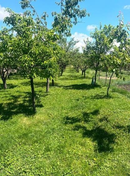 Casă individuală cu 7 camere cu Teren 1723 Mp în Hărman