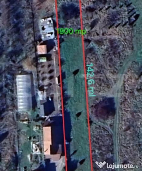Teren de 1800 mp, în Ciurila