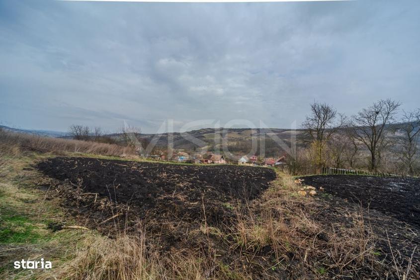 Casa la tara | 57 m2 + anexe | 2844 m2 teren | Caianu - 8