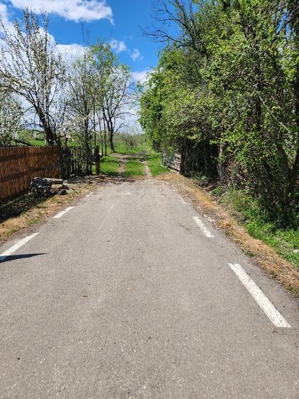 Teren Construcții intravilan de 16000 mp, în Ogretin