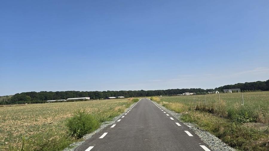 Teren de 12184 mp, în Ciolpani