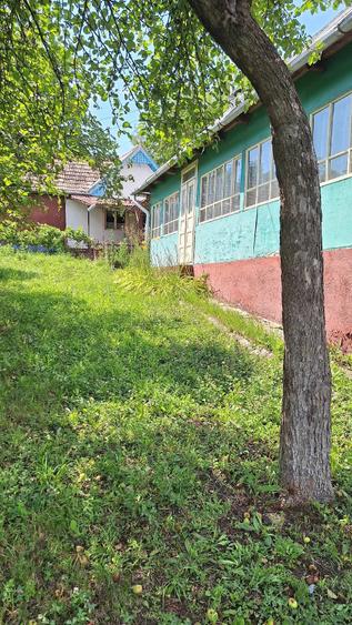 Casă cu 2 camere cu Teren 6000 Mp în Tioltiur