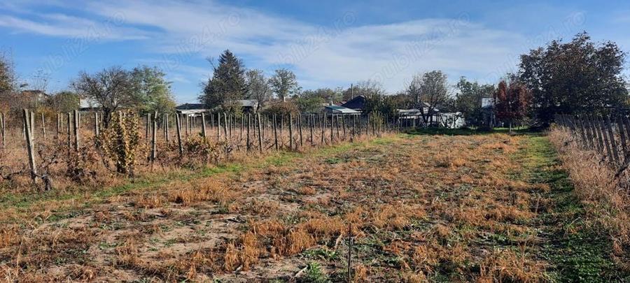 Teren de 1500 mp, în Vânători