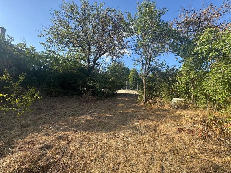 Teren Construcții intravilan de 1511 mp, în Podgoria
