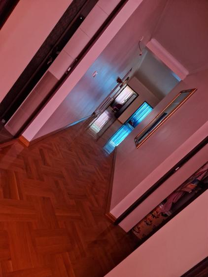 Casa remarcabila Cazasu, Braila - 3