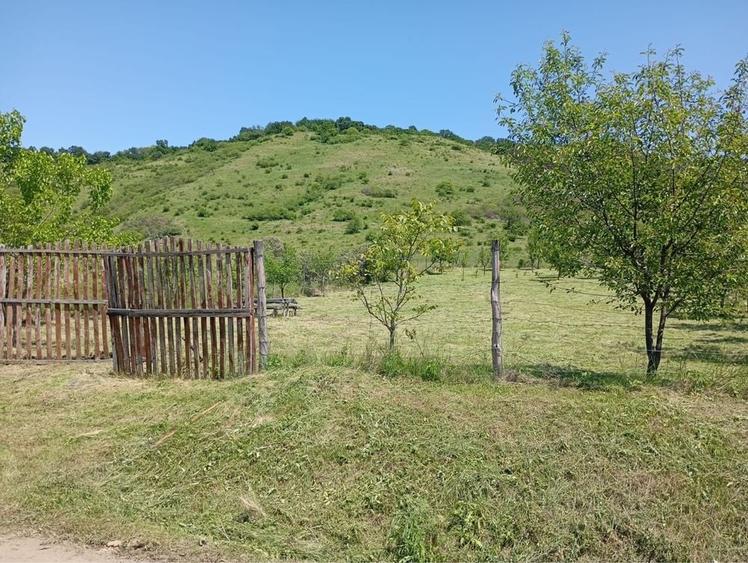 Teren de 12000 mp, în Țaga