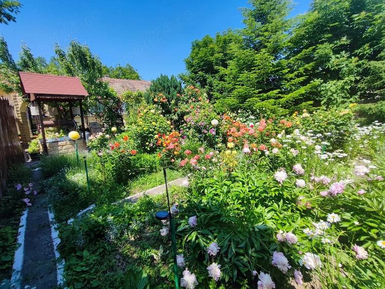 Casă cu Teren 2600 Mp în Slava Rusă
