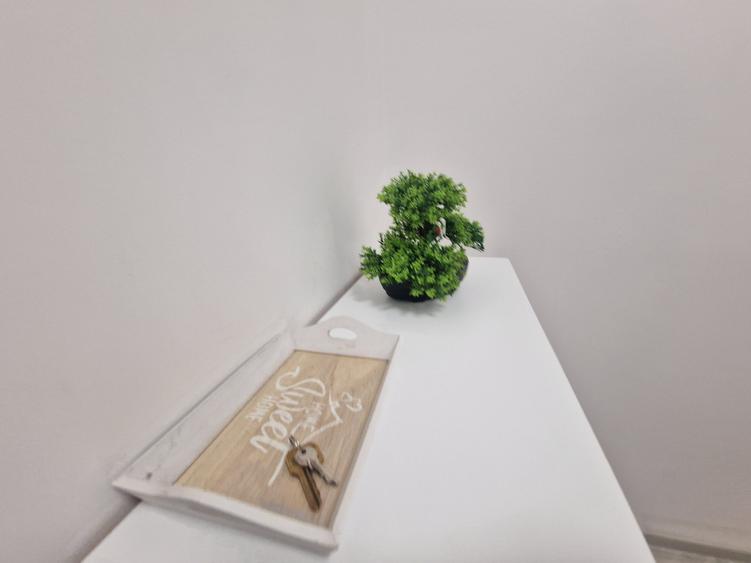 Apartament cu 2 camere semidecomandat în Podu Roș