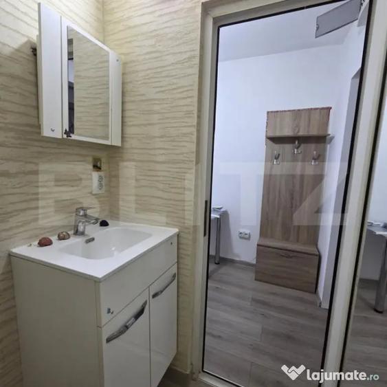 Garsonieră în Țiglina 1