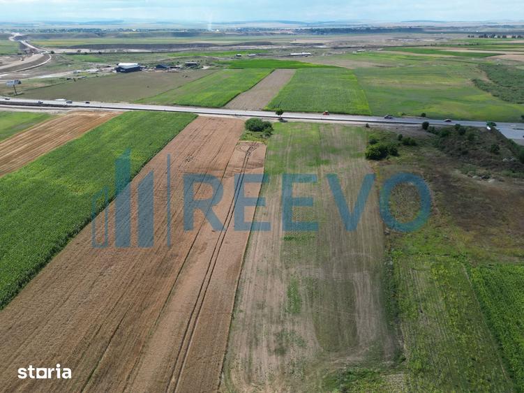 Teren de 4947 mp, în Horia