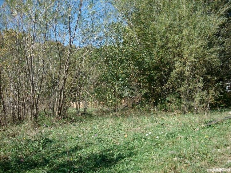 Teren de 1500 mp, în Molid