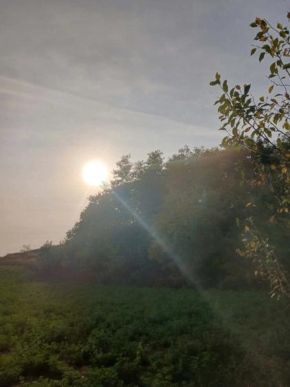 Teren de 1600 mp, în Mănărade