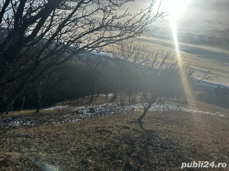 Teren de 8040 mp, în Mățău