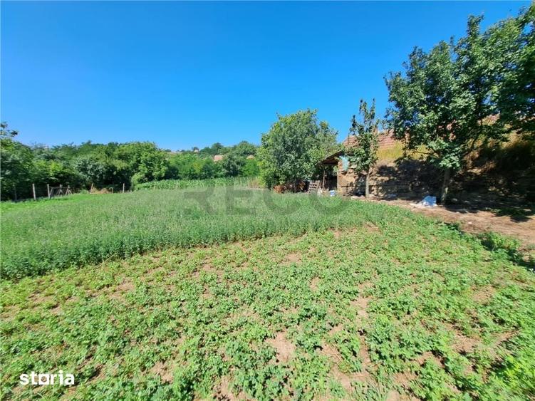Casă cu 4 camere cu Teren 1439 Mp în Central