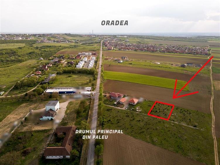 RECO Teren de vanzare Paleu 1025mp - 4