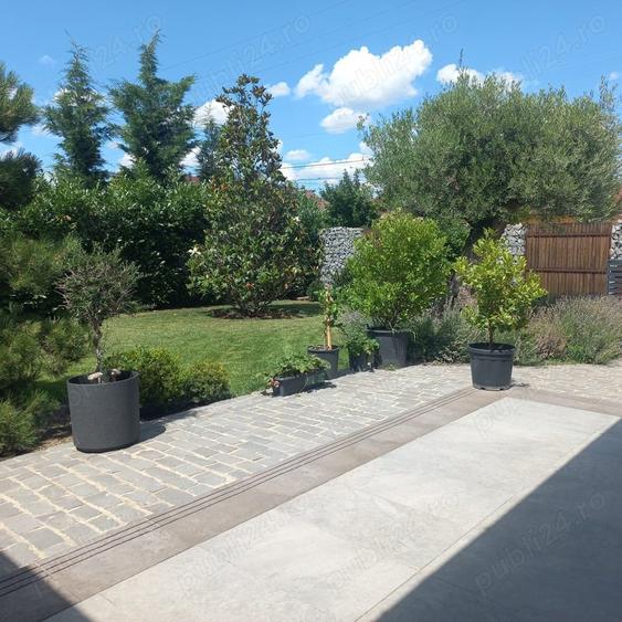 Casă în Sânnicolau Mare
