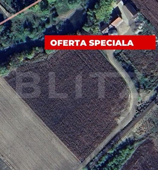 Teren agricol extravilan de 10000 mp, în Blaj