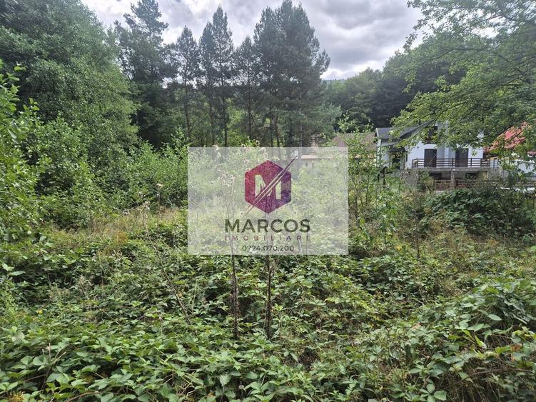 Teren Construcții intravilan de 1000 mp, în Văliug