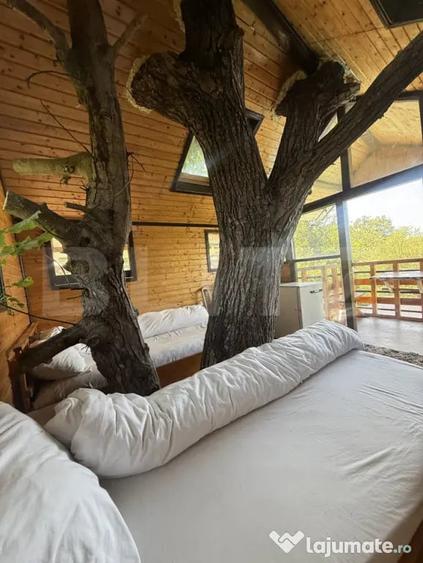 Proprietate de poveste cu piscina, ciubar ?i casu?a i - 15