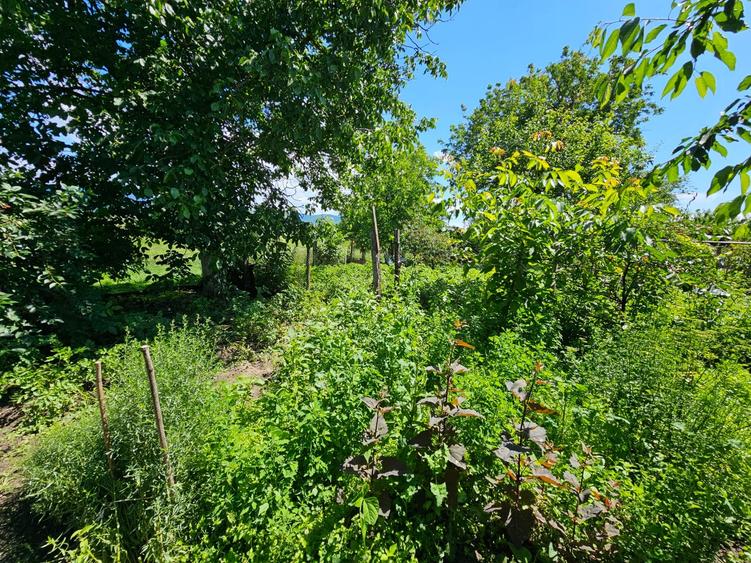 Casă individuală cu 3 camere cu Garaj în Exterior Est