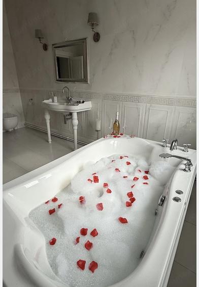 Apartament LUX 3 Camere Centrala Proprie Zona Splaiul Nistrului - 7