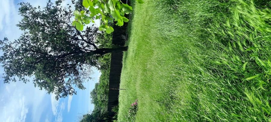 Casa de vanzare, cu teren, in oras Ramnicu Sarat, Judet Buzau - 3