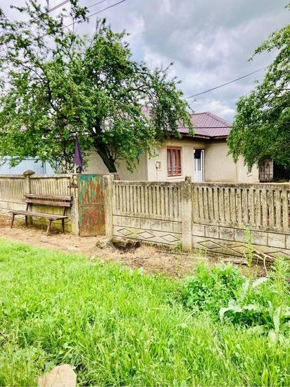 Casă cu 3 camere cu Teren 3927 Mp în Fântânele