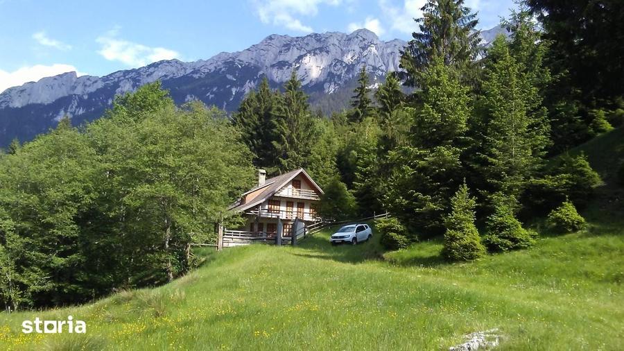 Vanzare Cabana in pitorerscul peisaj din Plaiul Foii, Zarnesti Brasov - 20