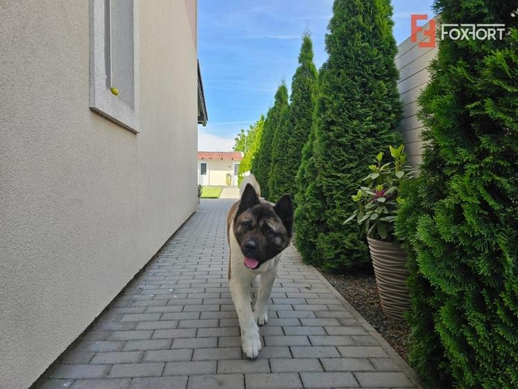 Duplex cu 3 camere cu Canalizare în Dumbrăvița
