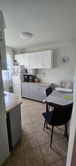 Apartament cu 2 camere decomandat în Dosu Bricii