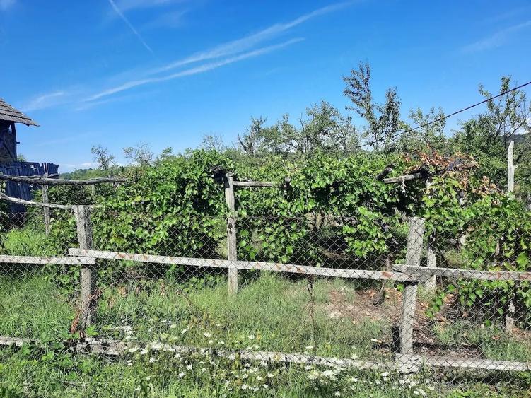 Casă cu 2 camere cu Teren 30 Mp în Târgu Logrești