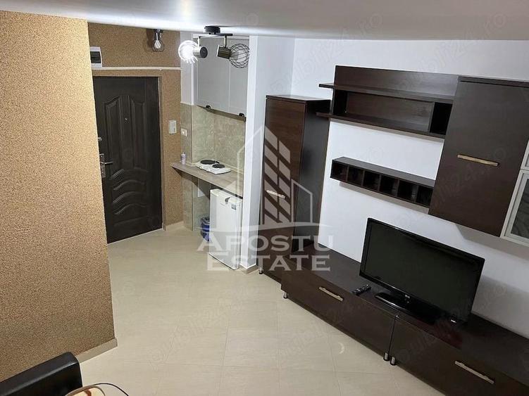 Apartament 1 camera de inchiriat, Dambovita, Timis - 1