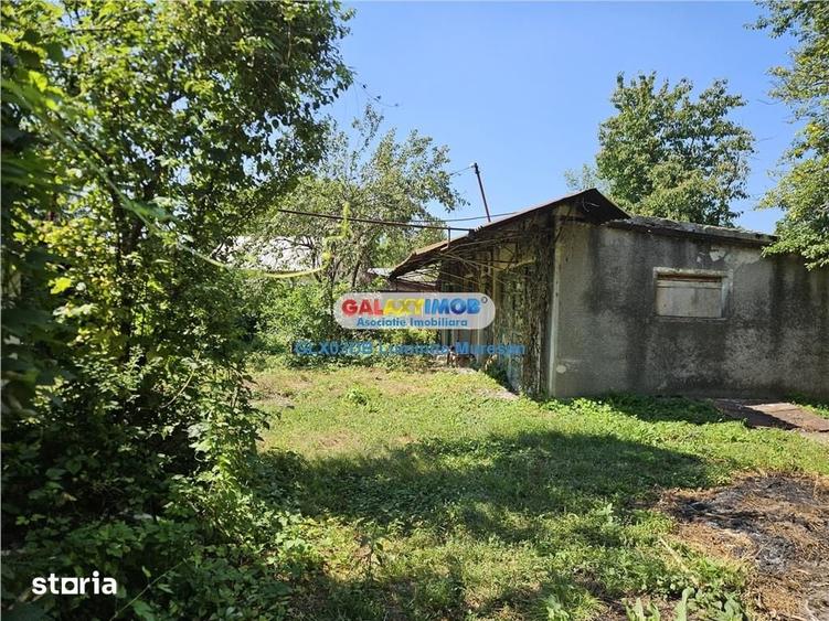 Vanzare casa batraneasca S + P teren Valea Voievozilor - 10