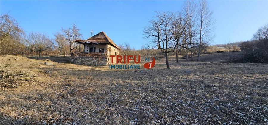 Teren Construcții intravilan de 1365 mp, în Ampoița
