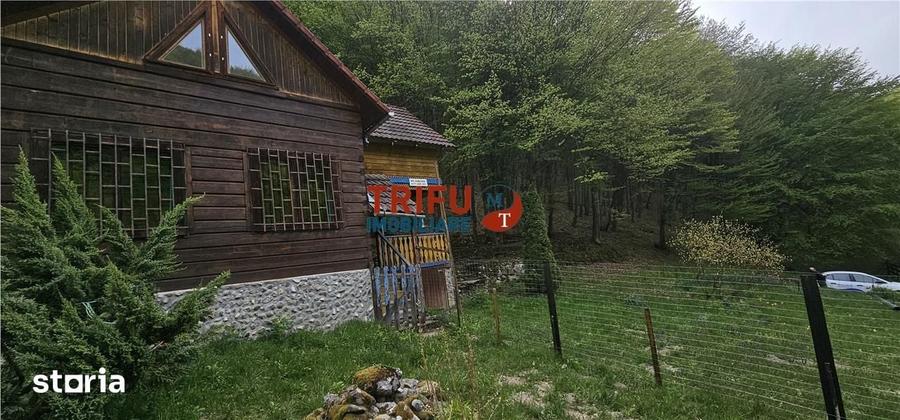 Casă cu 4 camere cu Teren 891 Mp în Ighiu