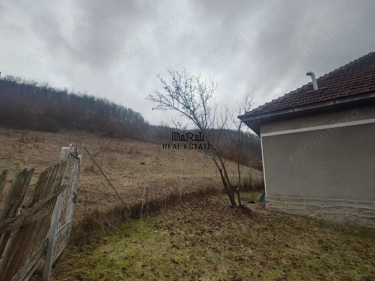 Casă cu 3 camere cu Teren 12861 Mp în Luncoiu de Jos