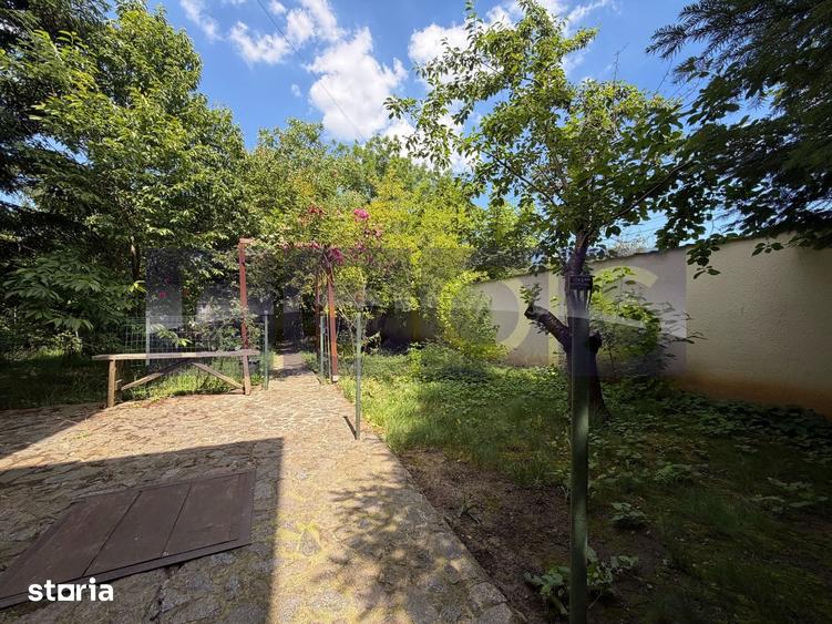 VANZARE VILA 280 MP UTILI | TEREN 900 MP | 5 CAMERE | VOLUNTARI - 16
