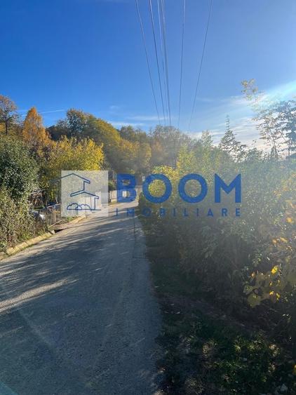 Teren Construcții intravilan de 1000 mp, în Vlădești