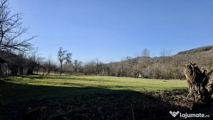 Teren de 4549 mp, în Gura Vitioarei