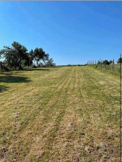 Teren de 1200 mp, în Daia