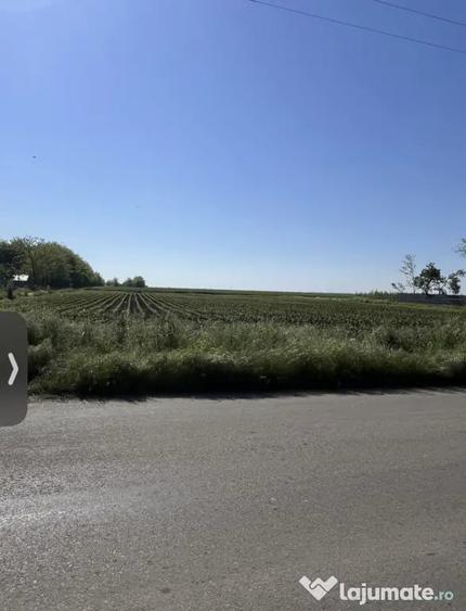Teren intravilan 1000 mp + 2 terenuri extravilane Langa Autostrada A2 negocia - 2