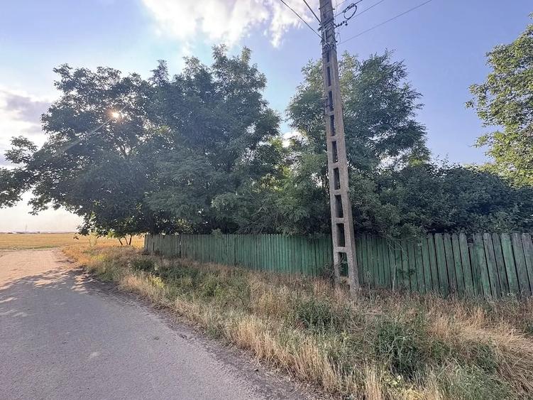 Teren de 1607 mp, în Bărăganul