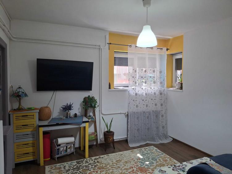 Ap.3 camere Cismigiu - 3