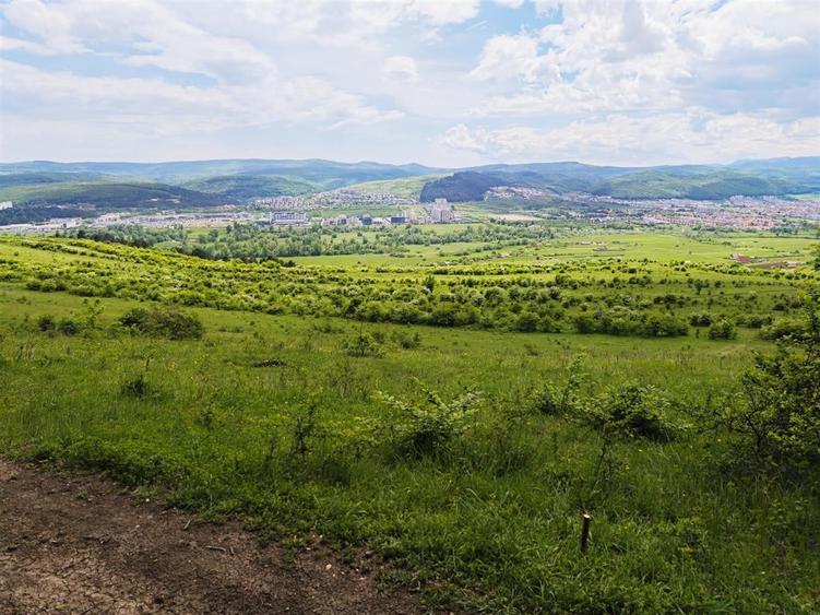 Teren Construcții extravilan de 2900 mp, în Florești