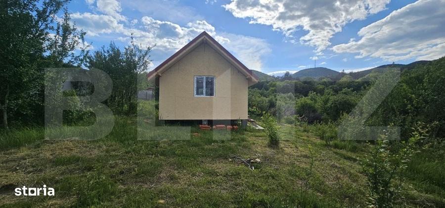 Spațiu comercial, în Căprioara