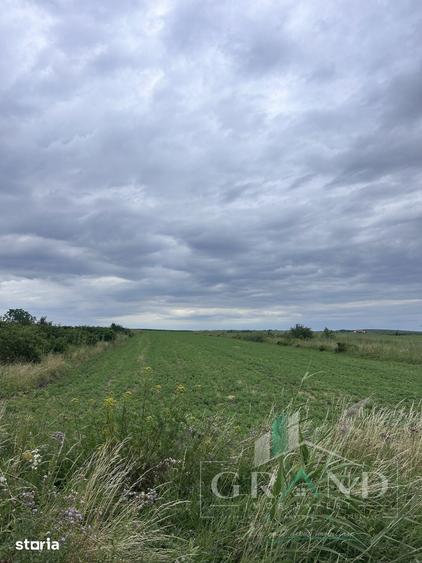 Teren intravilan 5.700 mp | Copaceni, Cluj | DN1 | - 1