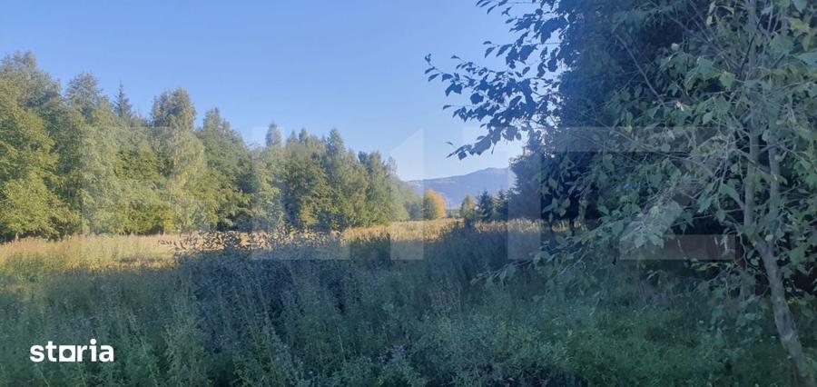Teren intravilan, 14.540 mp, zona Neagra Sarului - Vatra Dornei - 6